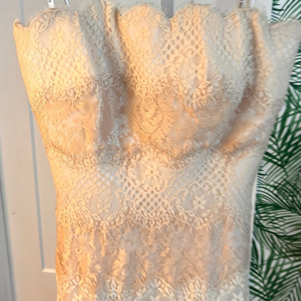 Tadashi Shoji Cream Lace Maxi Dress - Picture 5 of 10